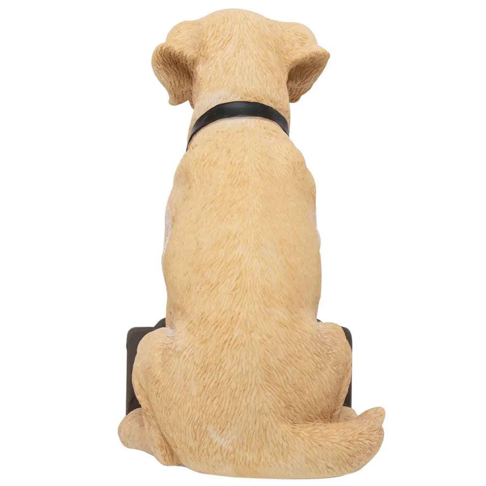 Newcastle United Labrador Gnome Football Gifts Online