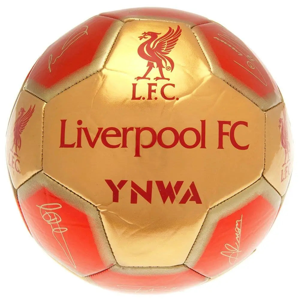 Liverpool FC 26 Panel Signature Football Back View