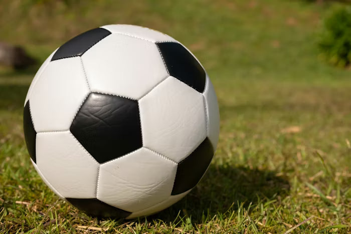 Football Gifts and the Psychology of Sports Fandom